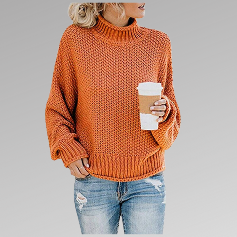 Temia | Cozy Knit Turtleneck Sweater